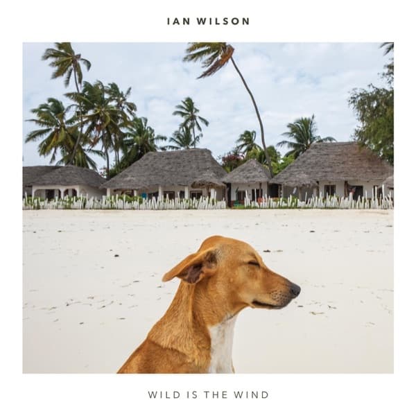 Wild is the Wind Album cover of Wild is the Wind by Ian Wilson